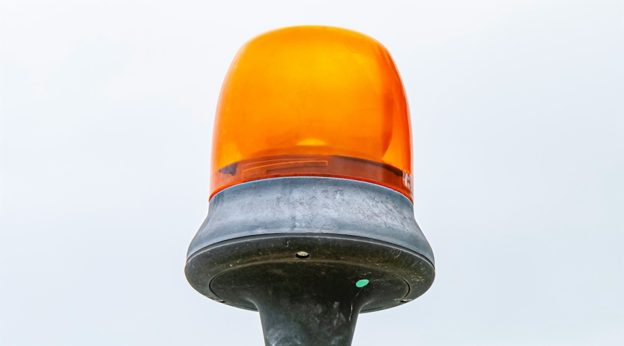 让“树尖”到“舌尖”的距离更短