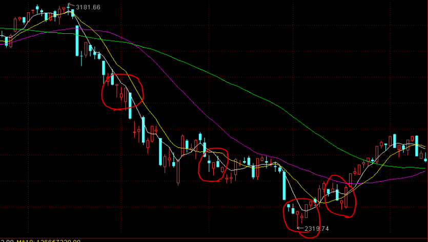 泰康人寿宣城中支重疾先赔保险金24万元